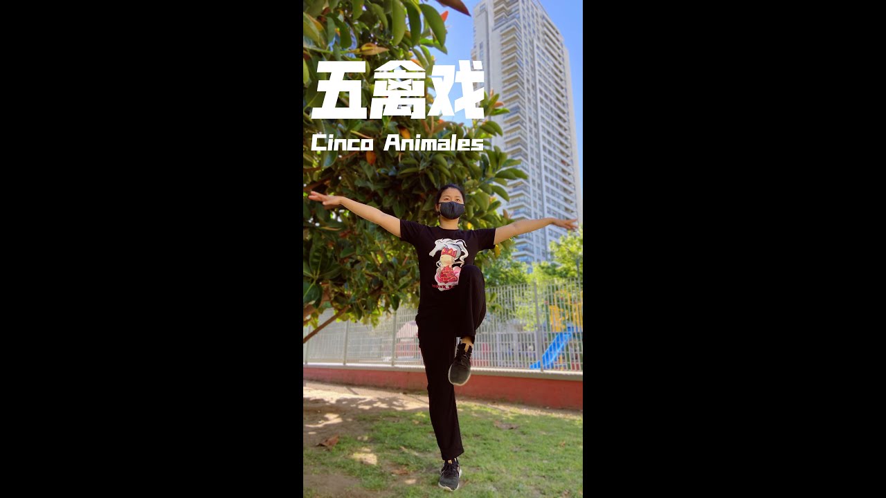 Wushu Kung Fu 229 Qigong El Juego de los Cinco Animales 五禽戏 WuQinXi