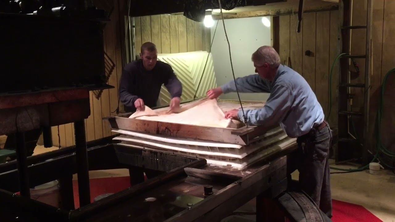 Apple Sorting and Pressing