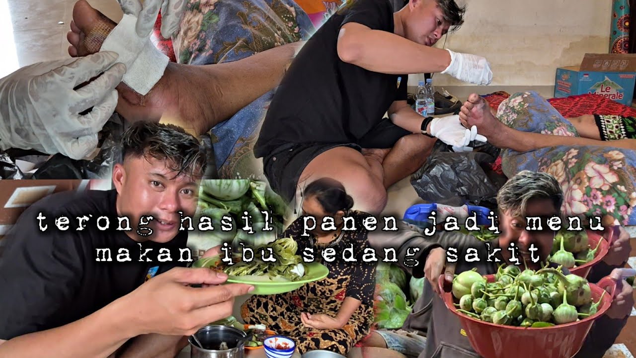 Hasil panen terong untuk menu makan ibu dalam masa pemulihan dari sakit hidup di hutan