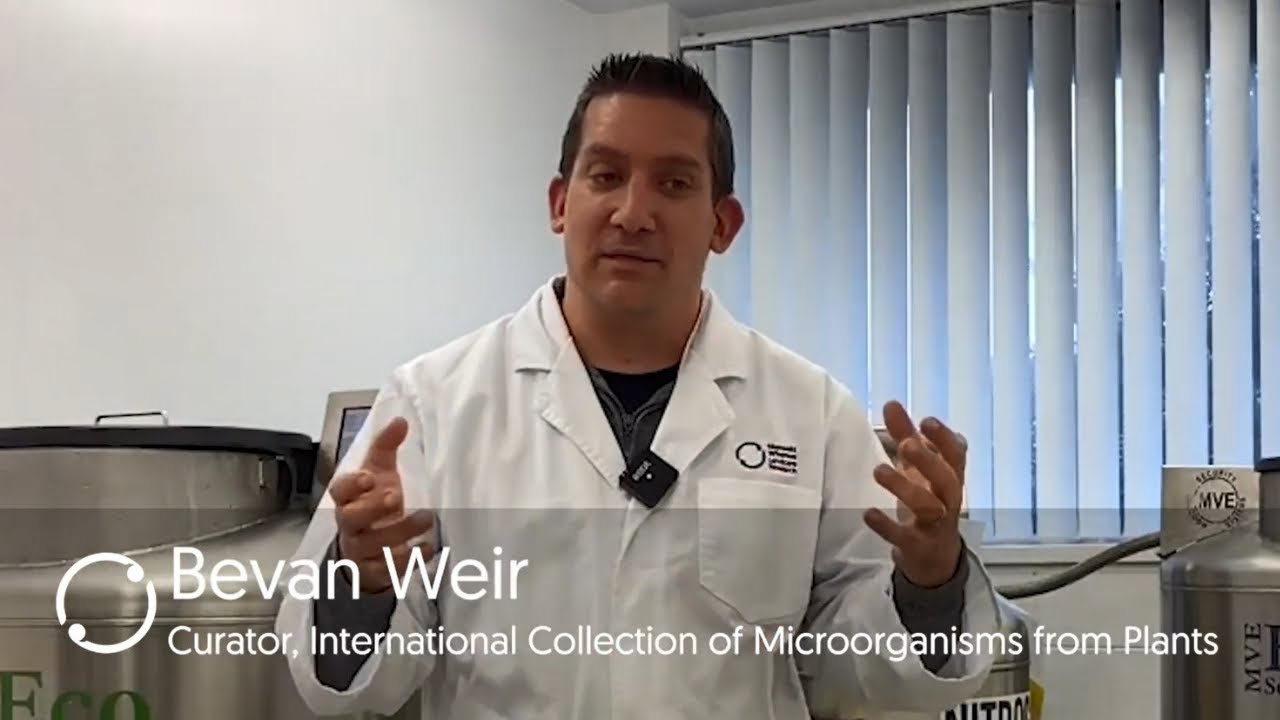 Bevan Weir: Curator of the ICMP