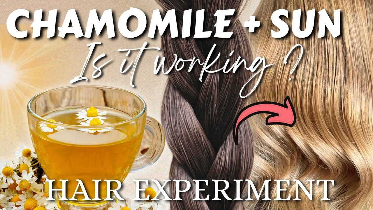 Does Chamomile Really Lighten Hair? My 3-Month Summer Test in the Sun!