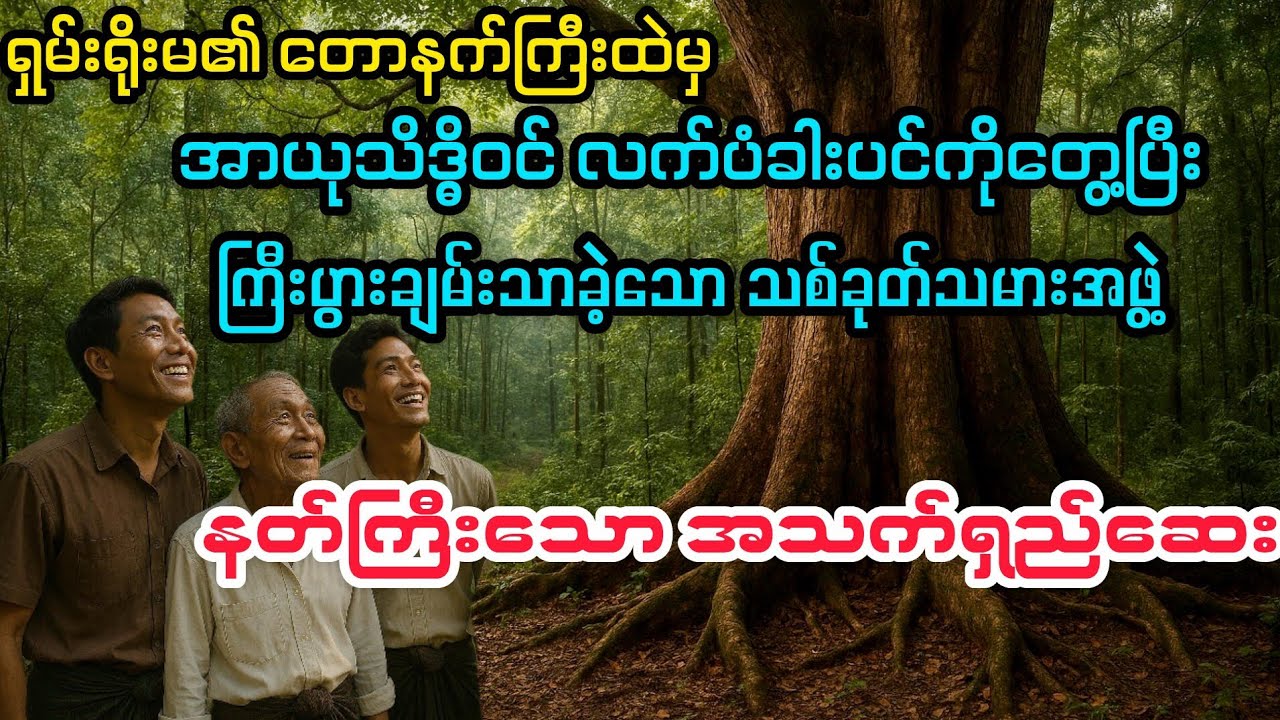 (နတ်ကြီးသော အသက်ရှည်ဆေး) 