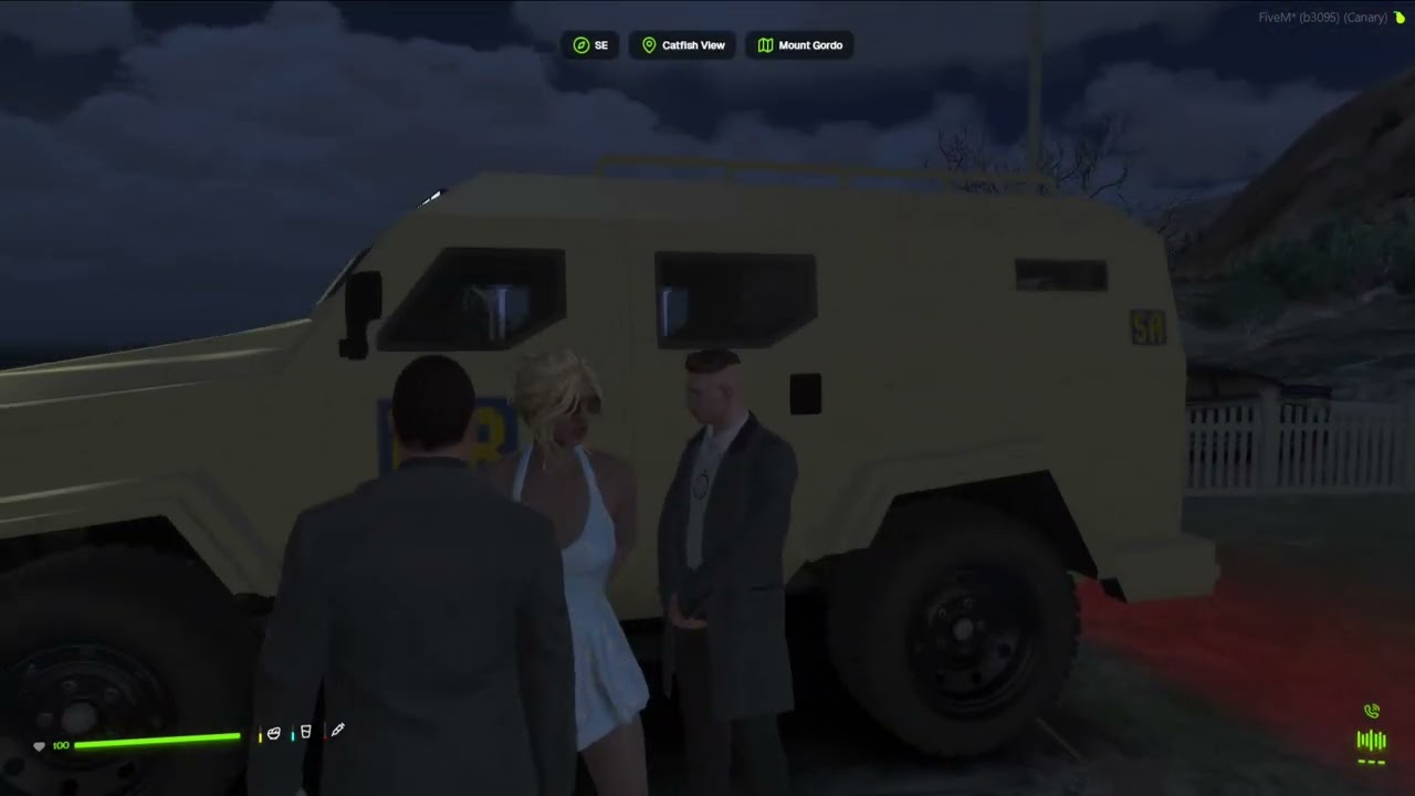 FIB Try to Arrest LeAnn