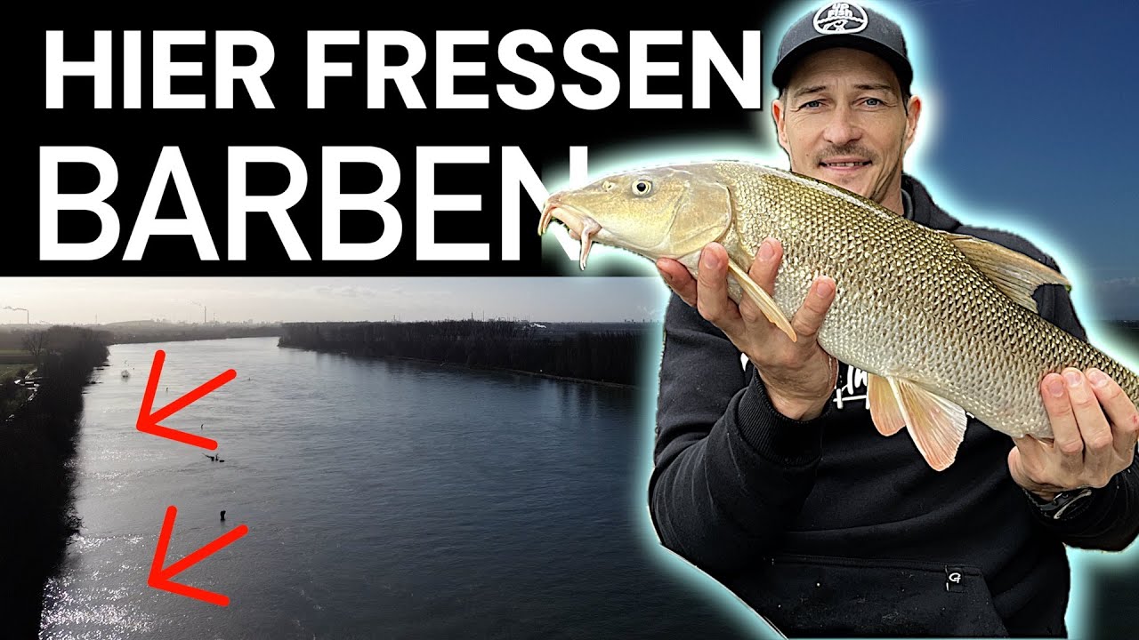 ANGELN AM RHEIN - TIPPS FÜR BARBEN !!