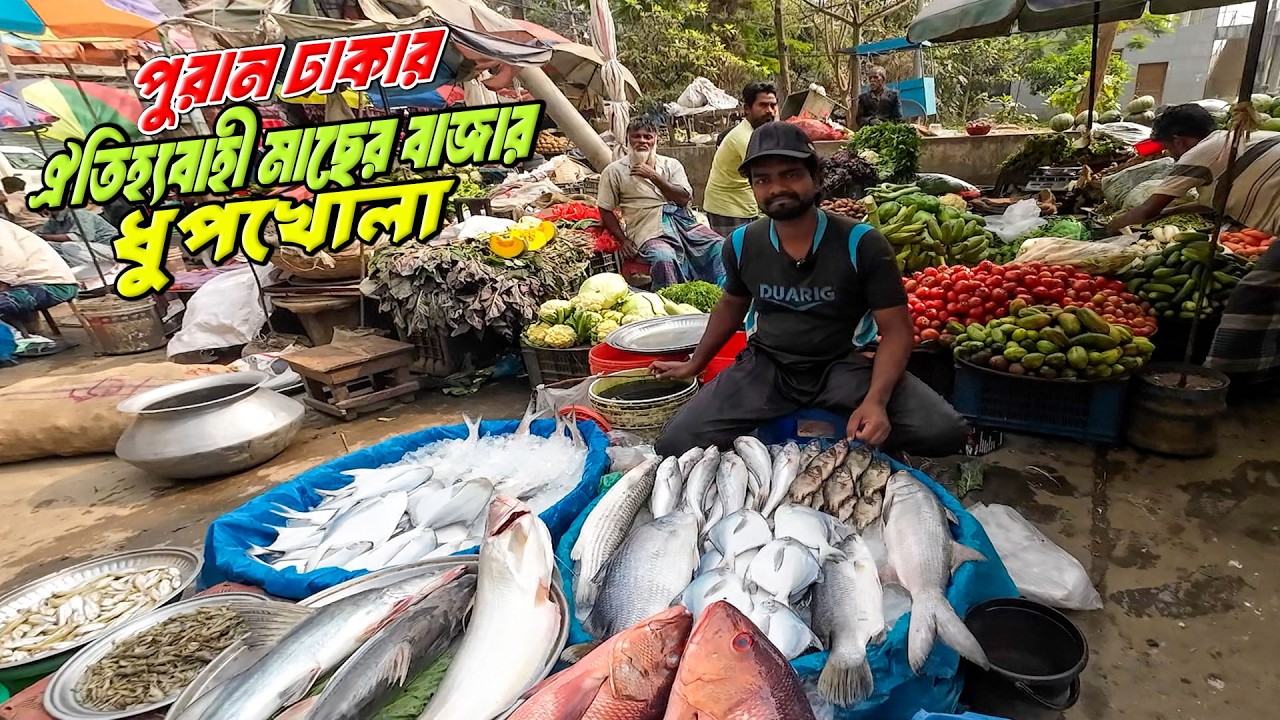 বোয়াল, চিতল, আইর আর রুই–কাতলা | পুরান ঢাকার ধুপখোলা মাছের বাজার | বাজার ভর্তি মাছ কিন্তু ক্রেতা নেই