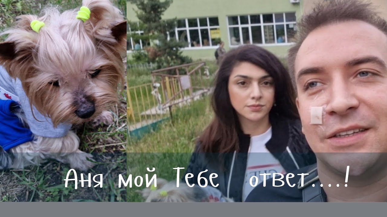 Аня и не только мой Вам ответ..Он гулять  не может! Чек- распаковка..цены  сегодня