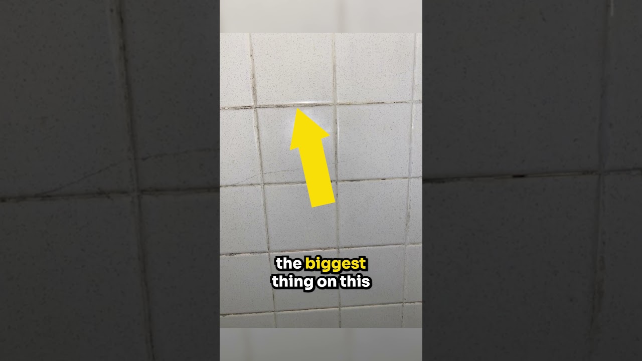 How to Prevent Mold Growth in Showers