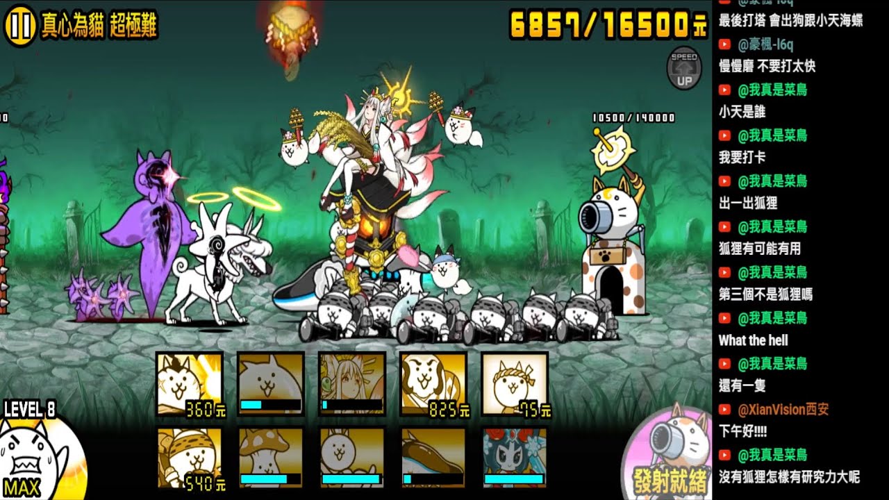 《kq77貓戰日常》01/19_挑戰死靈妖精海蝶