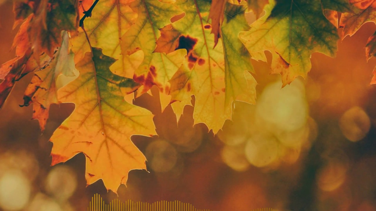 [FREE] Fall | iamjakehill Autumn Gloom inspired Type Beat