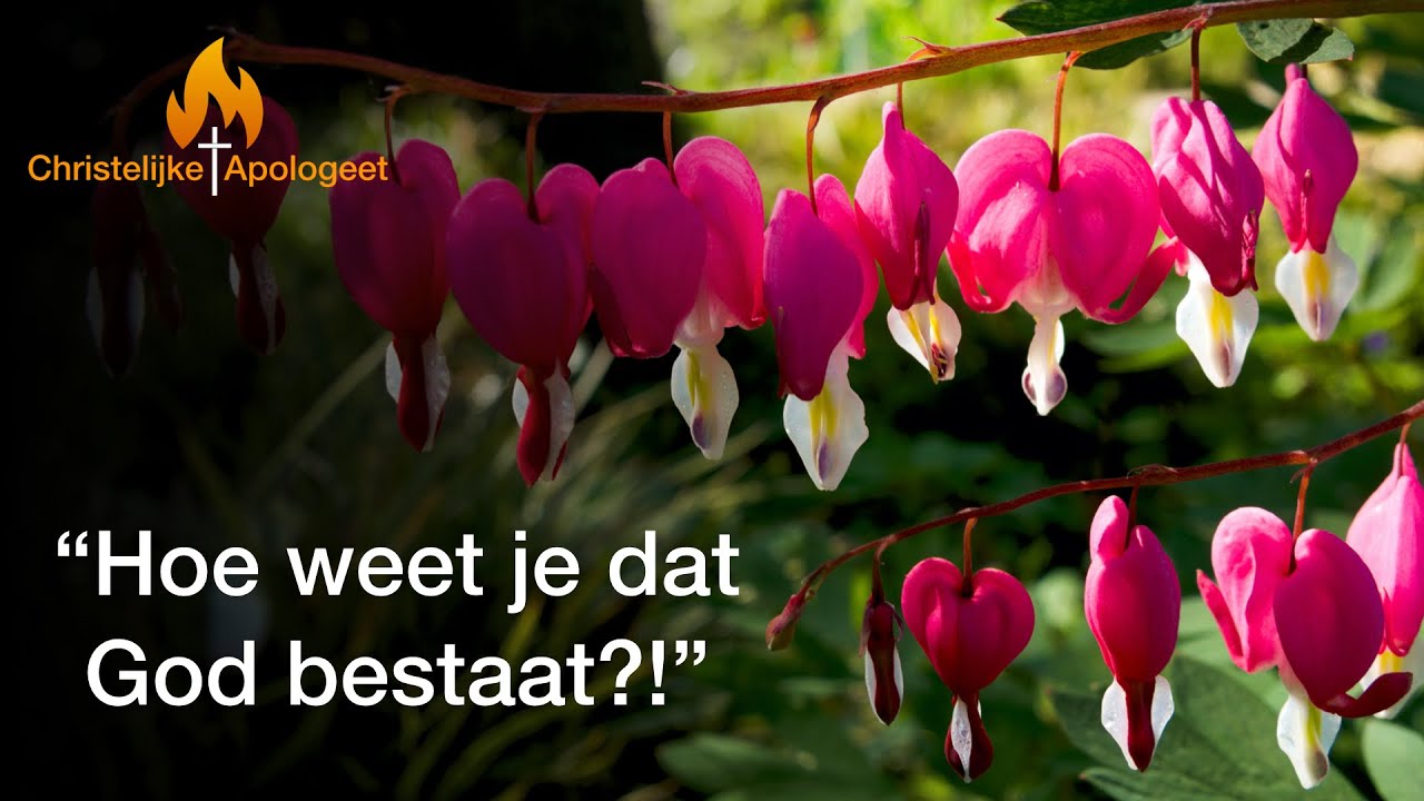 Hoe weet je dat God bestaat?!
