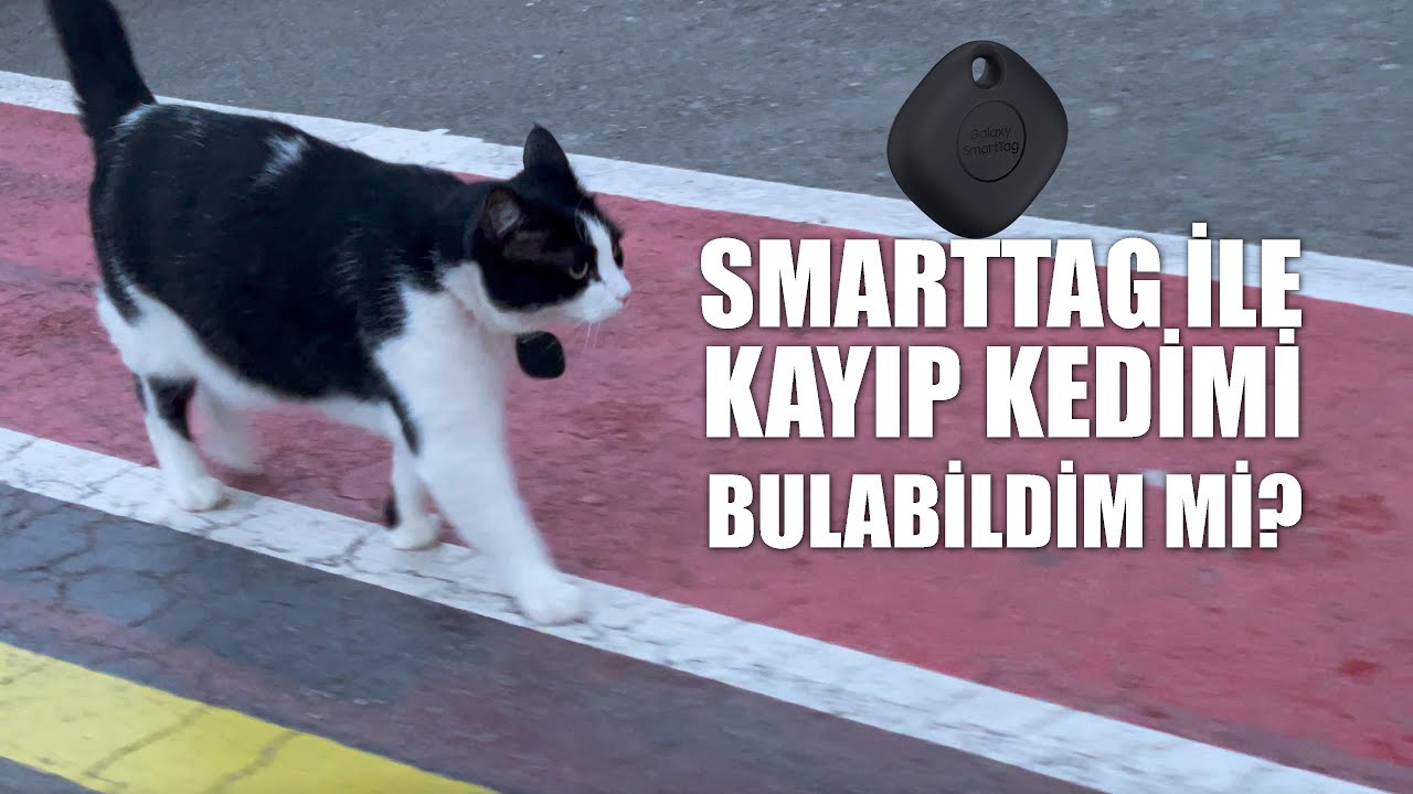 Kaybolan Kedimi Smarttag İle Bulabildim Mi? Samsung Smarttag İncelemesi