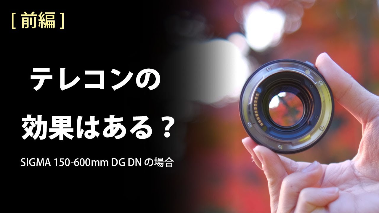 [ 前編 ] テレコンは本当に必要なのか？～ SIGMA 150-600mm F5-6.3 DG DN OS | Sports で野鳥撮影をする場合 ～