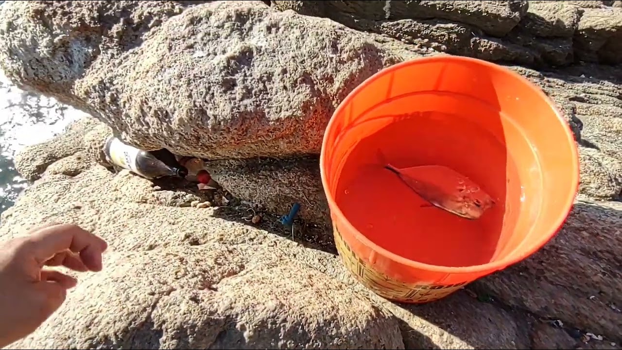 Pescando en Acapulco Guerrero, jureles, ojotones, roncos y más