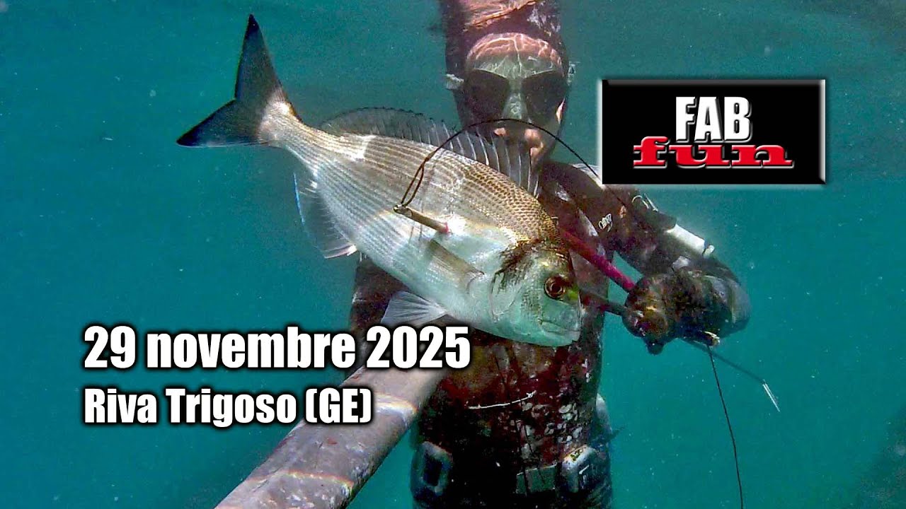Pesca Sub | Liguria, Riva Trigoso (GE): ultimi tuffi dell'anno nella nebbia salata | Spearfishing