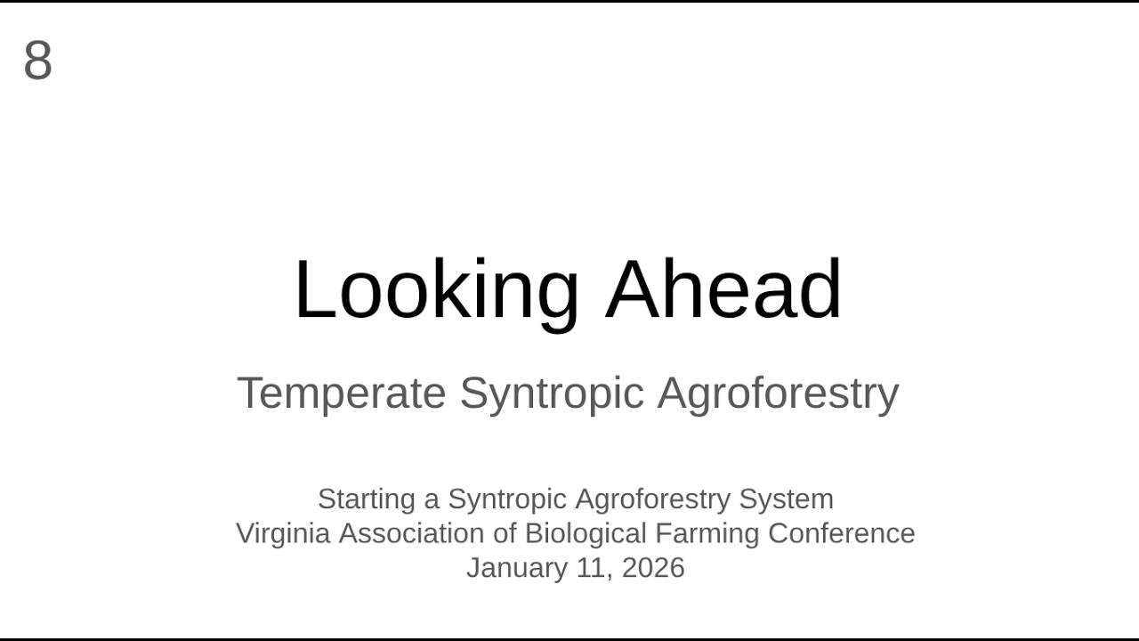 8 Looking Ahead - Temperate Syntropic Agroforstry