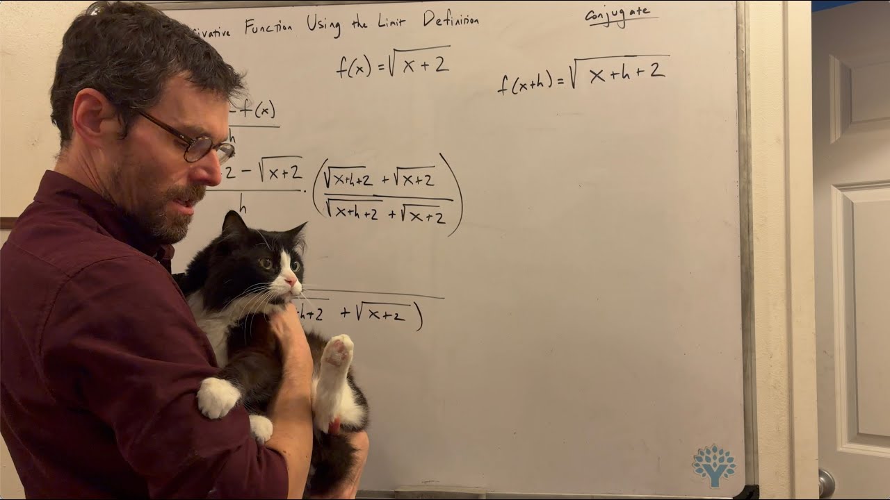 Finding the Derivative Function Using the Limit Definition of the Derivative (Radical)