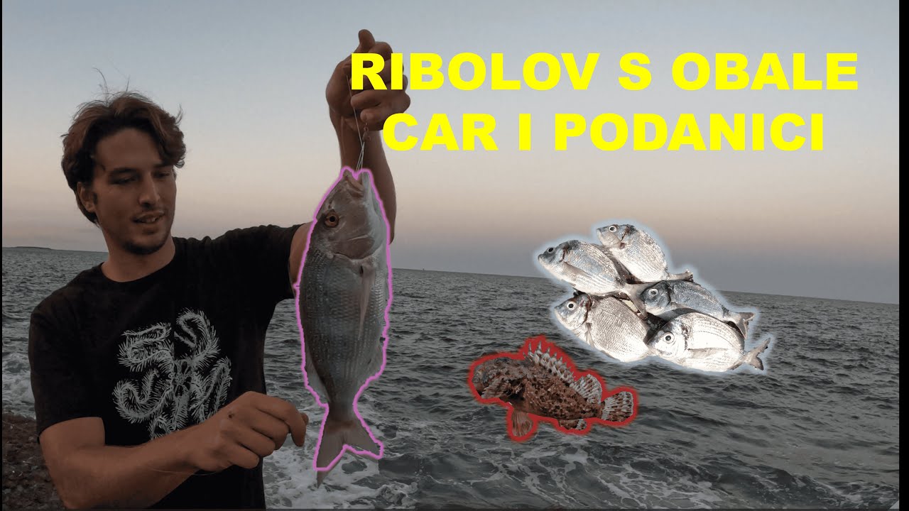 Ribolov u zoru - iz baraja u zubaca | Istra