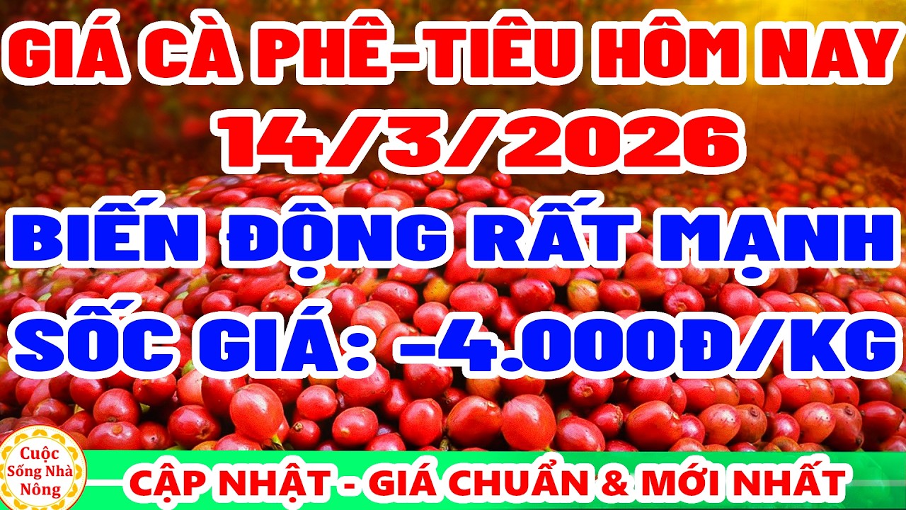 Gi&aacute; c&agrave; ph&ecirc; h&ocirc;m nay ng&agrave;y 14/3/2026 | BIẾN ĐỘNG RẤT MẠNH - gi&aacute; ti&ecirc;u h&ocirc;m nay