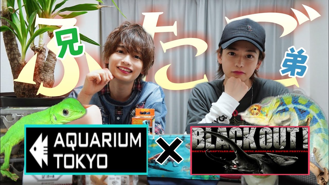 双子の弟、初登場！大型爬虫類イベントに２人で行って購入品紹介してみた！