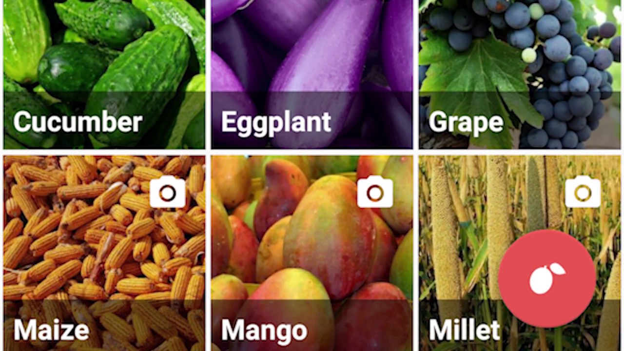 Plantix App: An overview