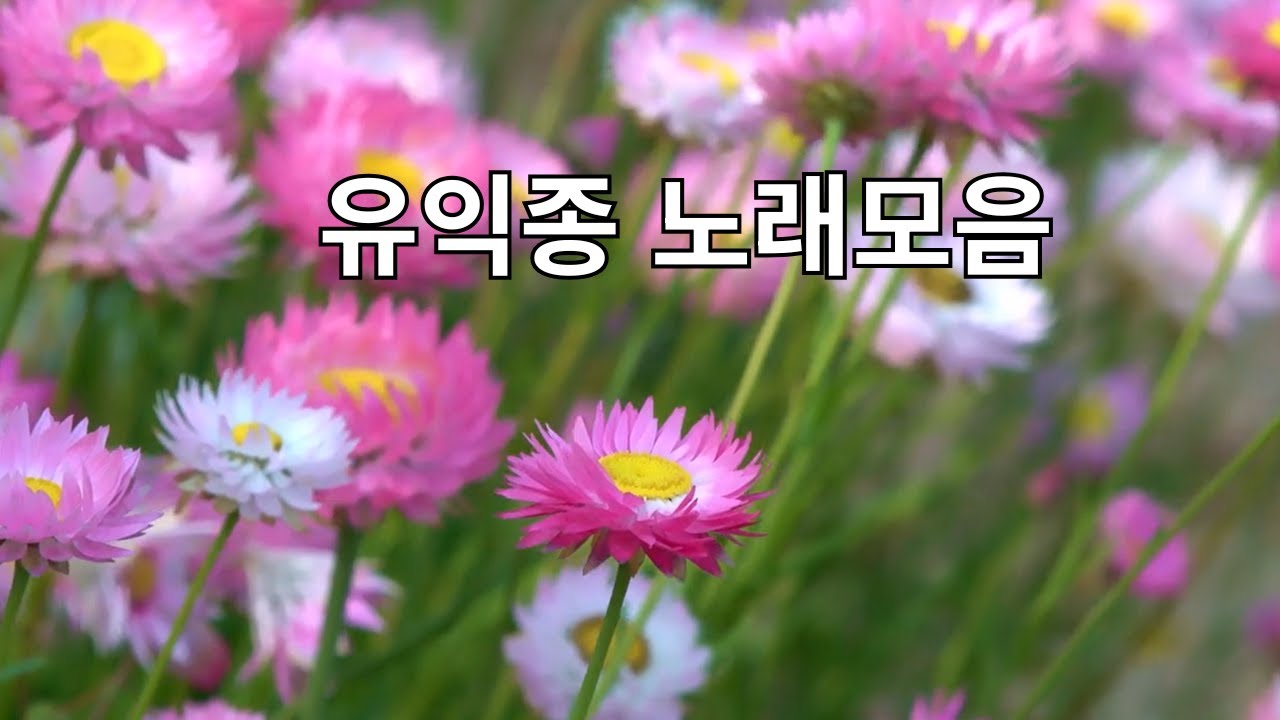 유익종 노래모음 해바라기 틀어만 놓아도 너무나 좋은 7080추억의 노래 #유익종 #7080 #해바라기