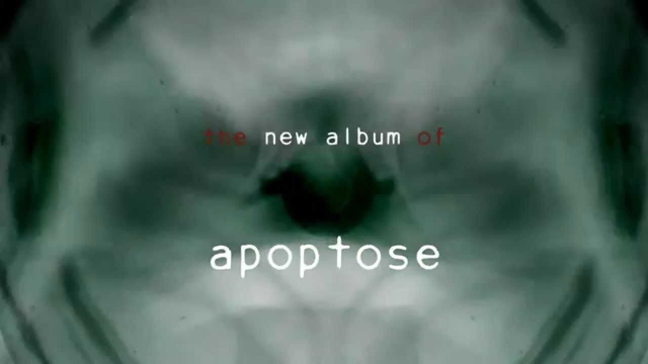 apoptose - ana liil [album trailer]