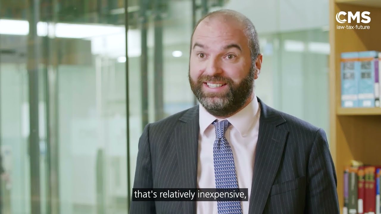 Analysing and managing risk in litigation