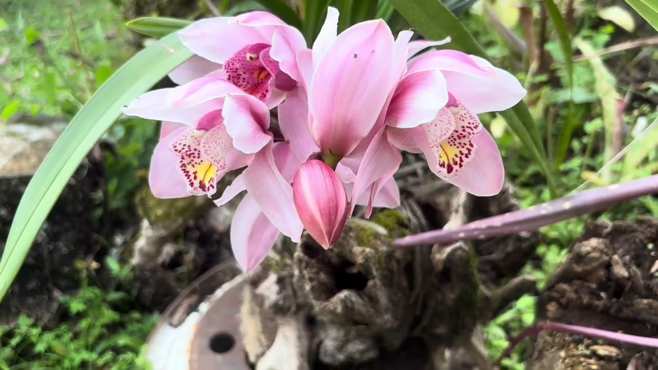La vida es de colores | Colombia el país de la belleza