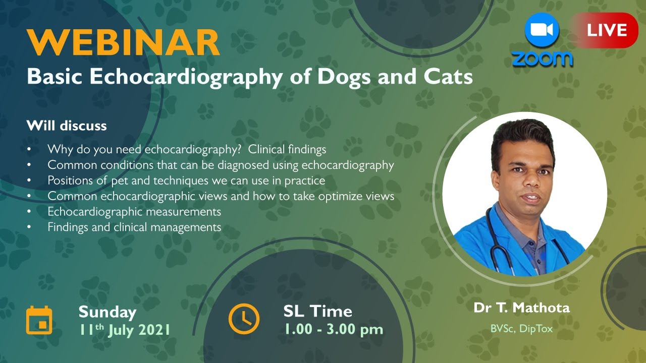 Basic Echocardiography of Dogs and cats