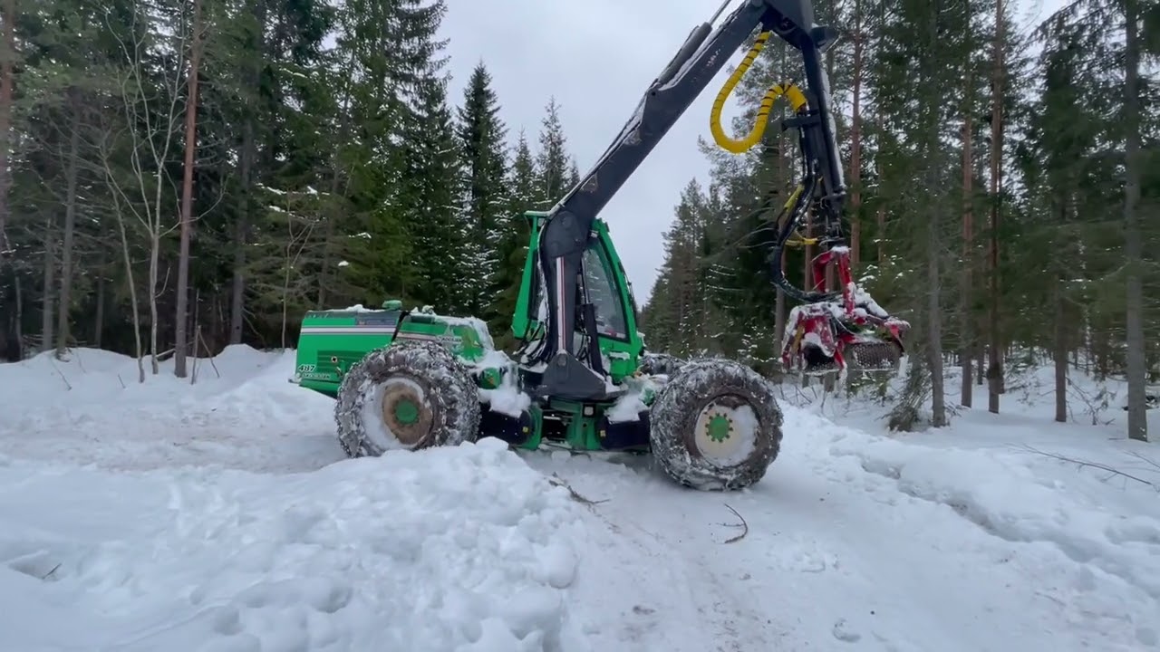 Skogsjan 487