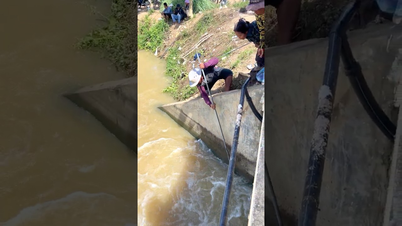 Real Life 100% Net Fishing In River At The Countryside (Part 1) #fishing #fish #new