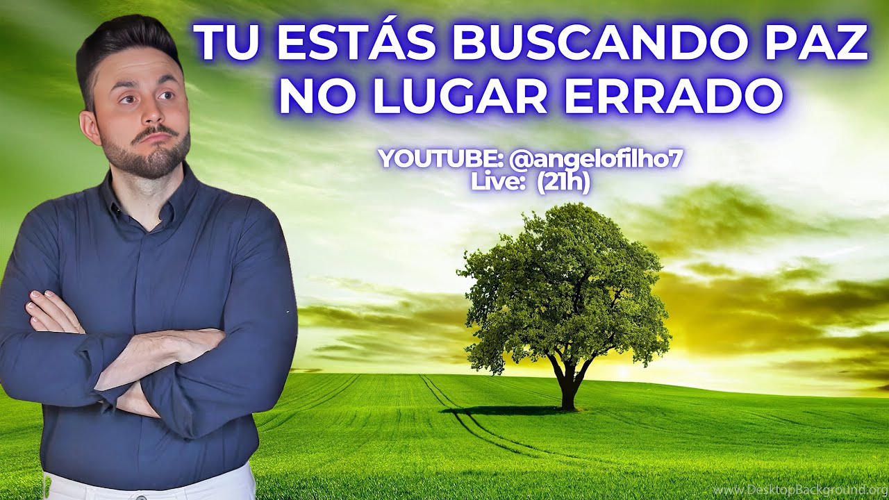 TU ESTÁs BUSCANDO PAZ NO LUGAR ERRADO