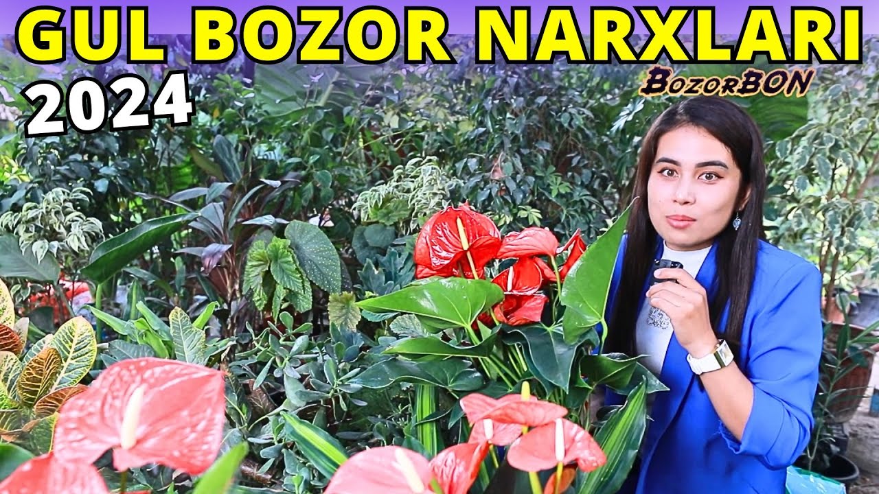 BOZORDAGI TURLI XILDAGI GULLAR NARXLARI BILAN TANISHING! 2024