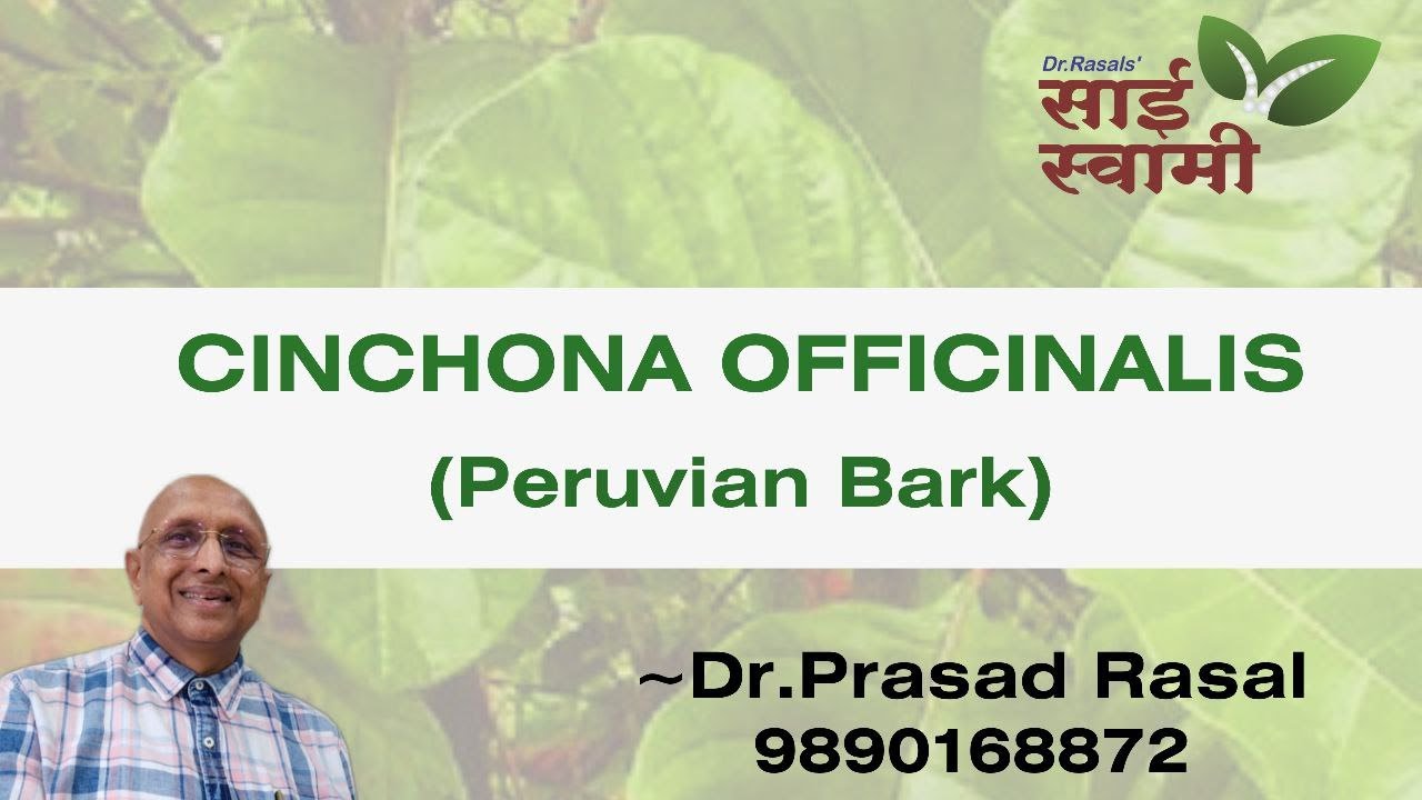 My Experiences with Cinchona Officinalis