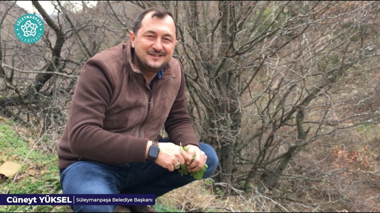 Naip Şelalesi Süleymanpaşa'nın yeni cazibe merkezi olacak