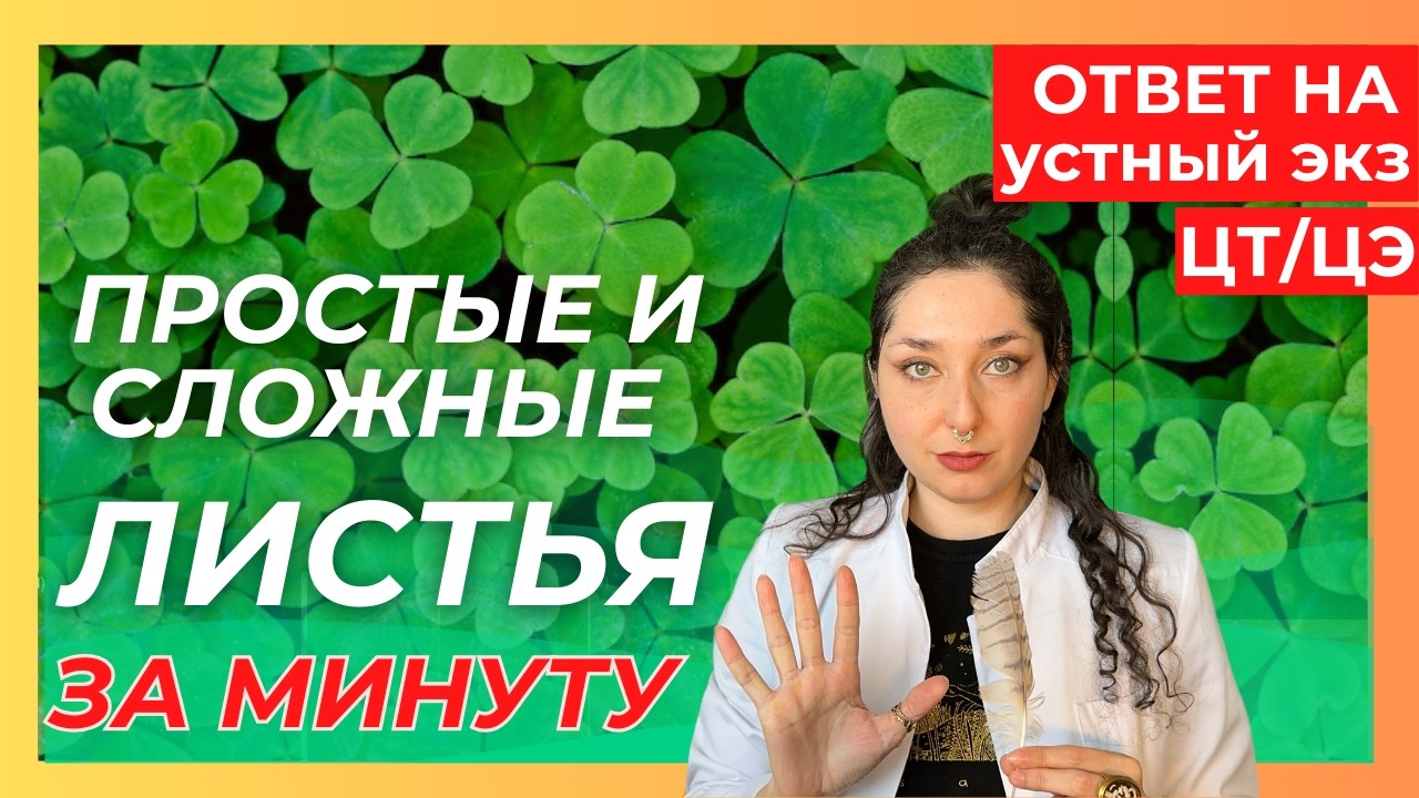 УСТНЫЙ ЭКЗАМЕН - ПРОСТЫЕ И СЛОЖНЫЕ ЛИСТЬЯ, ВОПРОС 15