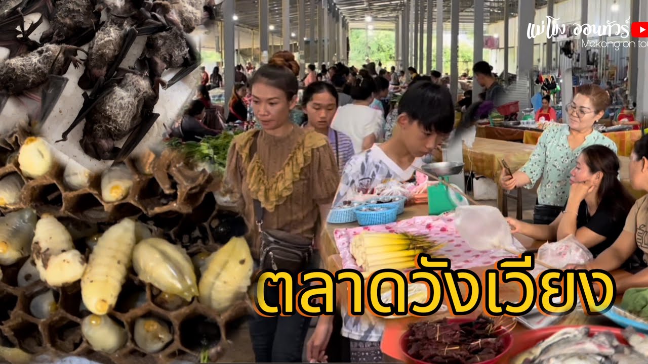 ตลาดแลง เมืองวังเวียง🇱🇦ค้างคาว ต่อขุม ของป่าหลายคัก เที่ยวลาววังเวียง 2024
