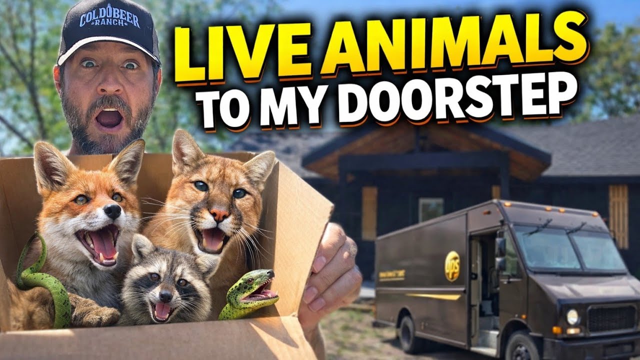 UPS Just Delivered LIVE Animals To My Doorstep