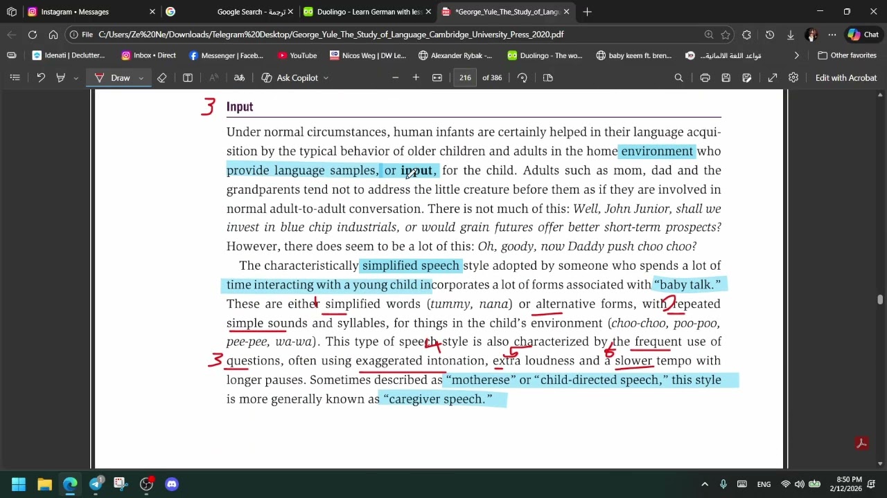 First Language Acquisition