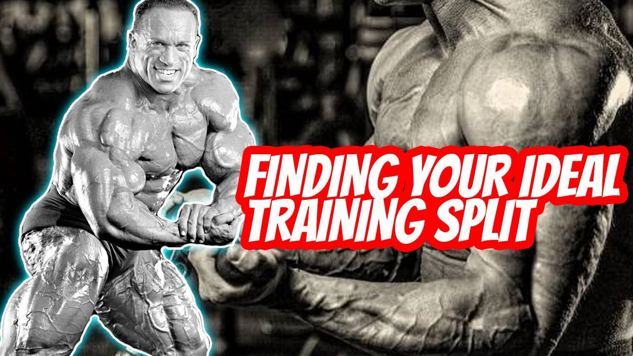 Finding OPTIMAL Training Splits!