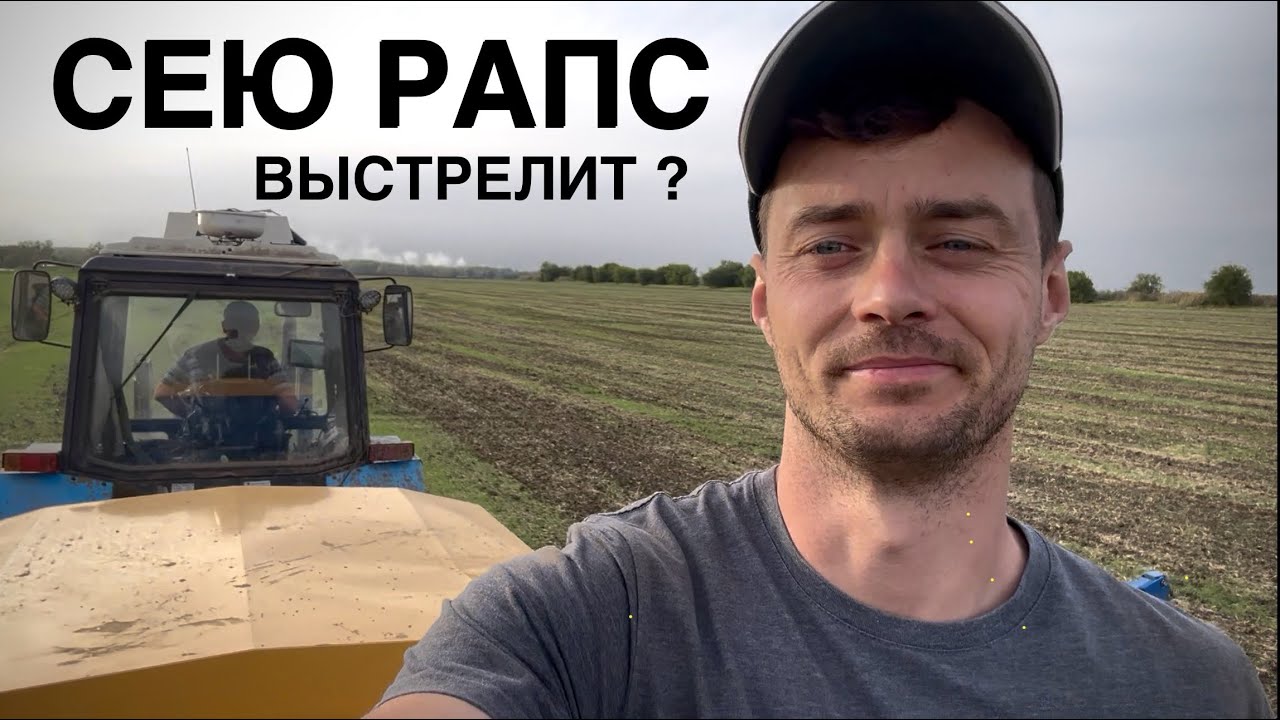 От посева до всходов. РАПС. Кто ВРЕДИТЕЛЬ? 