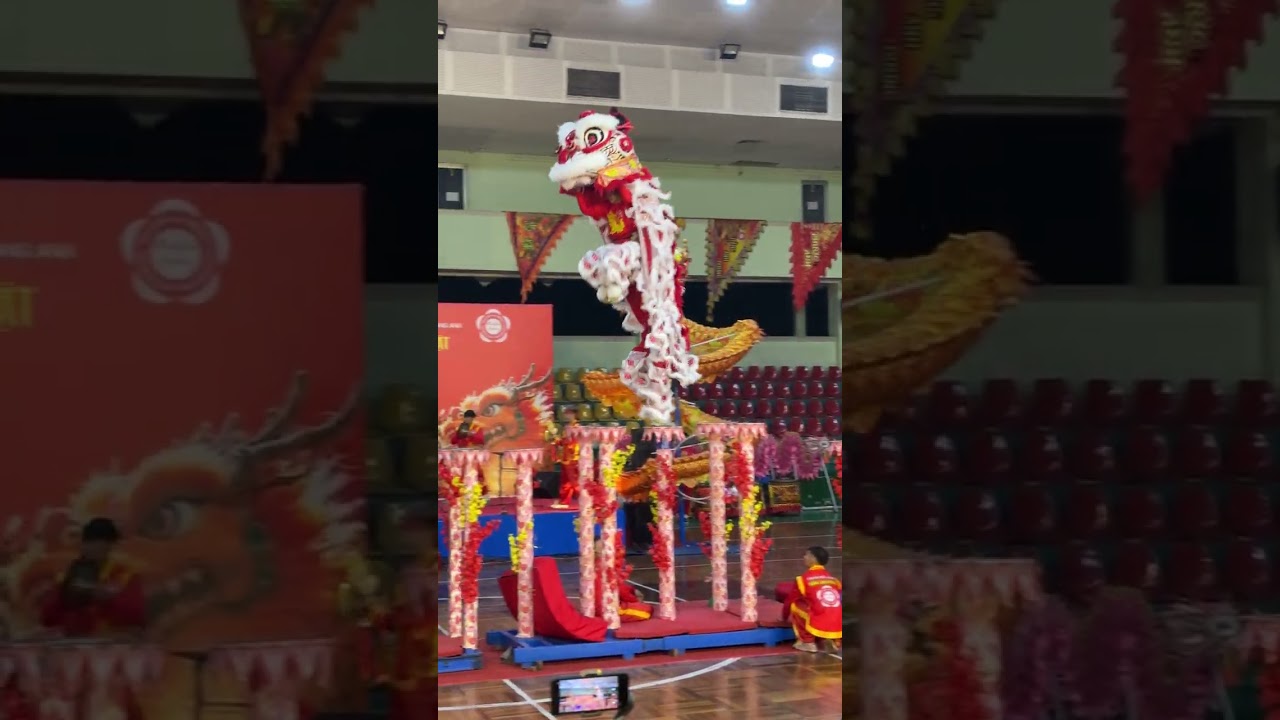 Mai Hoa Thung Bay Xa 3m-Hằng Anh Đường/Nguyễn Phương Hoài Bạch Ngọc Hà /Lân Sư Rồng Phường Bình Thới
