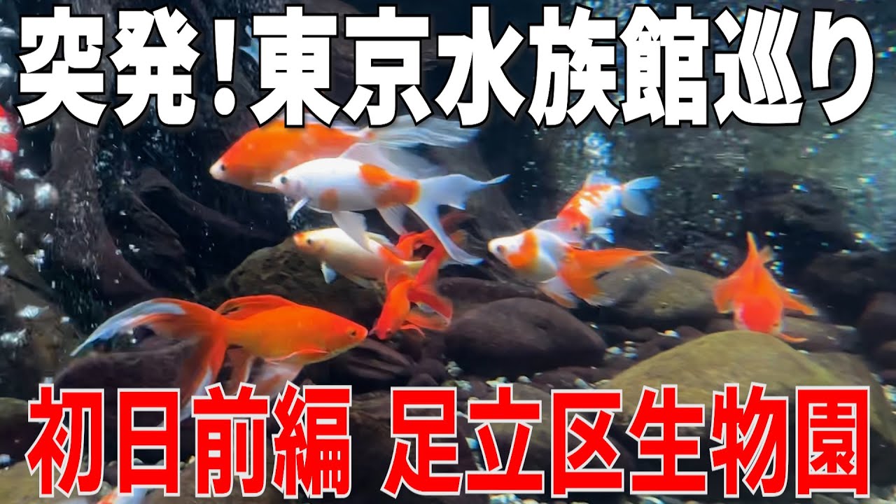 突発水族館巡りin東京　足立区生物園編