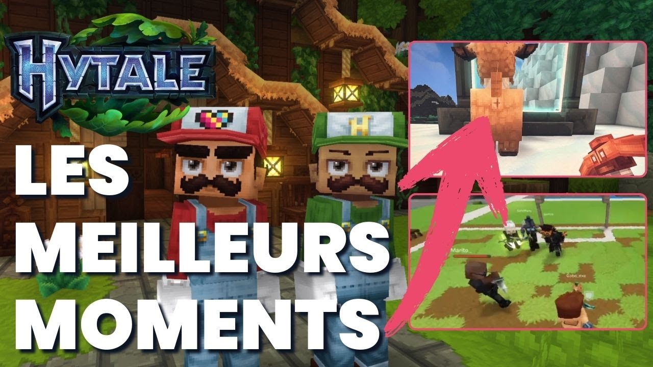🤣 Hytale : Les moments les plus FOUS de la communauté ! (c'est hilarant)