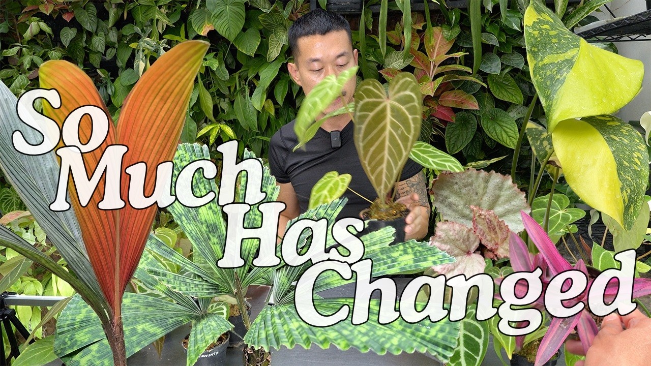 Редкие растения, новый рост и большие перемены в жизни | 🌿 Обновление сада