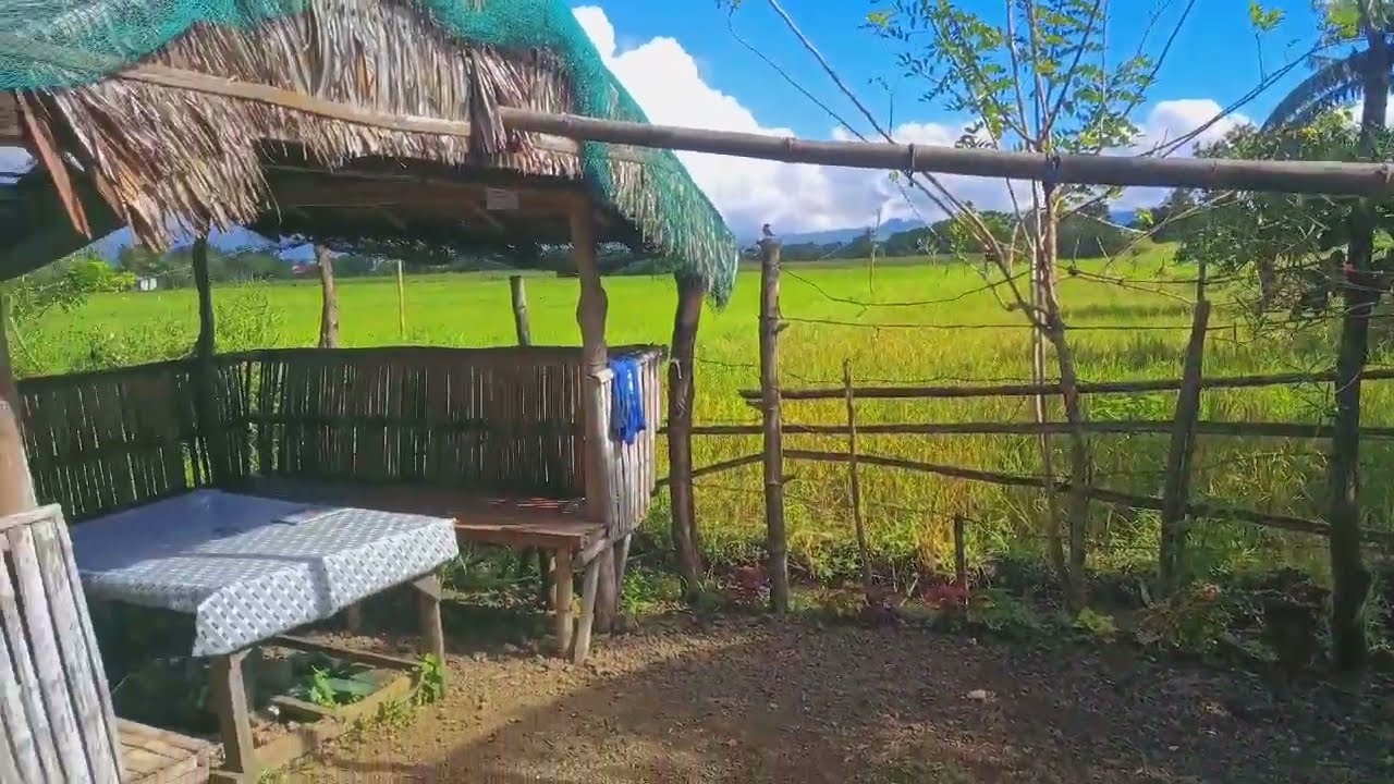 2 MIN OUTDOOR ASMR || SCREEN TAPPING (RELAXING)🍃🪻