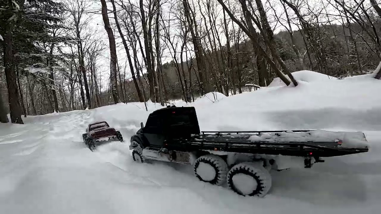 Trx4 and Trx6 in the Snow