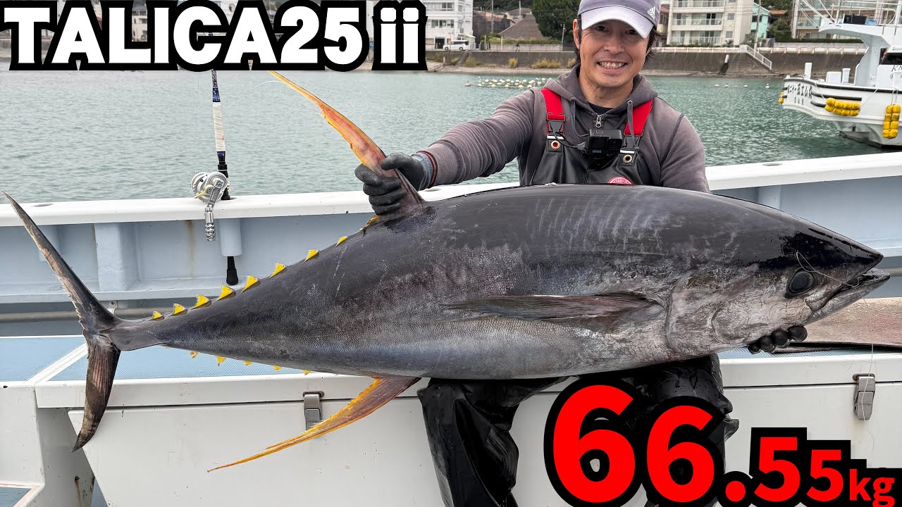 【相模湾モンスター】66.5kgのキハダ手巻きファイト備忘録（2025/10/6・五エム丸）