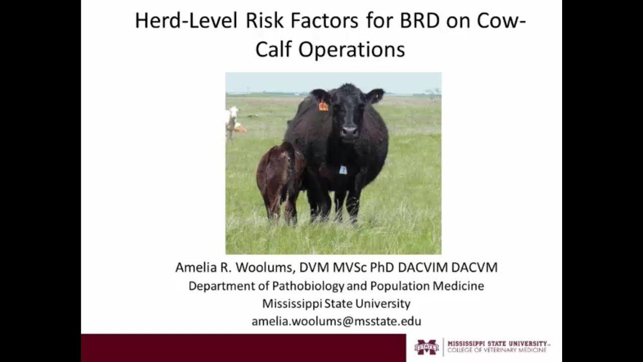 Risk Factors for BRD on Cow-Calf Operations