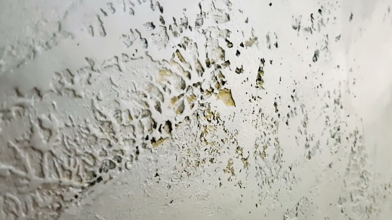 decoracion de paredes